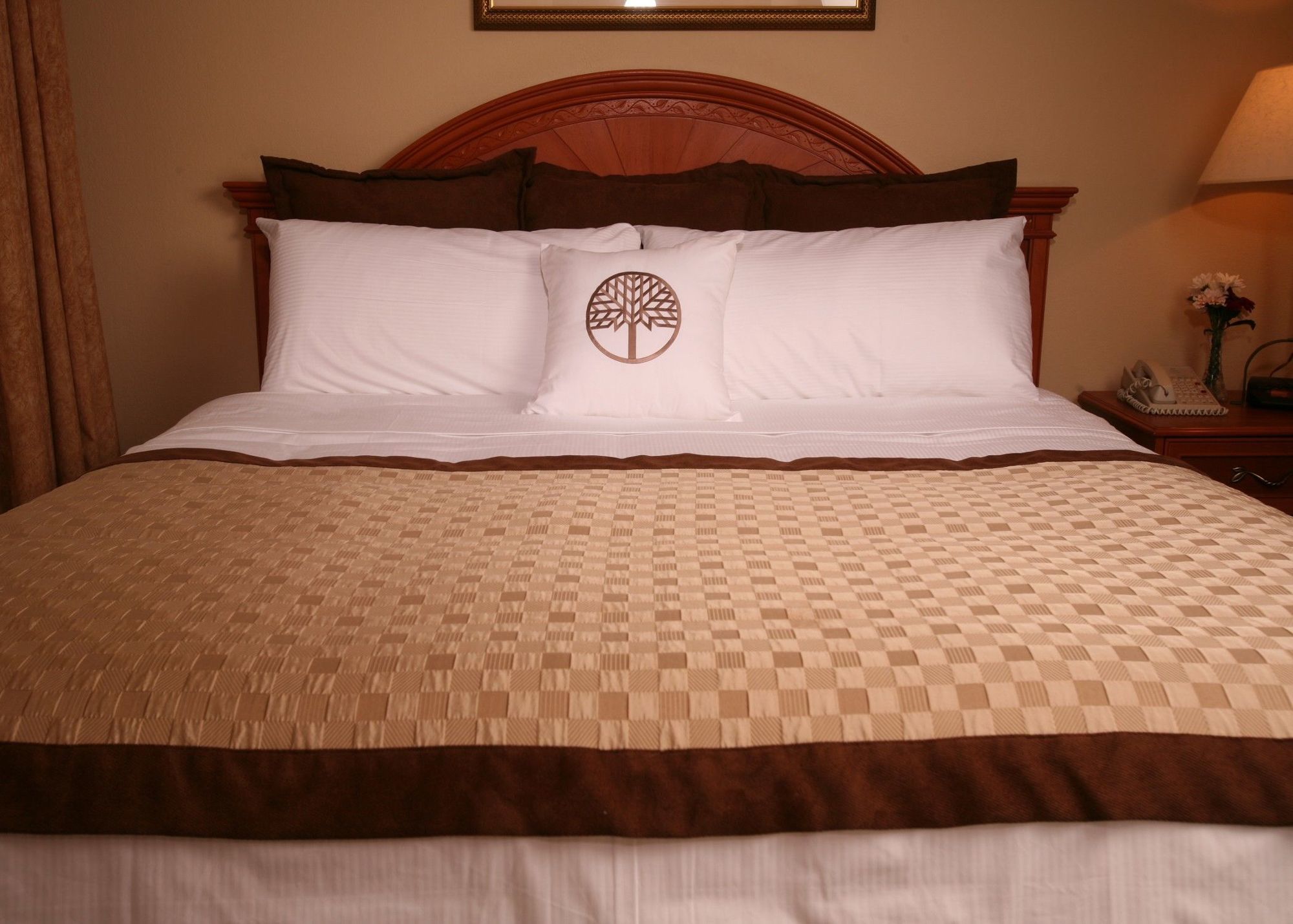 Staysky Suites I-Drive Orlando Near Universal Eksteriør billede
